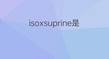 isoxsuprine是什么意思 isoxsuprine的中文翻译、读音、例句