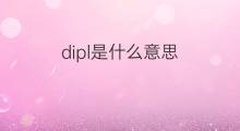 dipl是什么意思 dipl的中文翻译、读音、例句