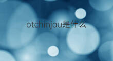 otchinjau是什么意思 otchinjau的中文翻译、读音、例句
