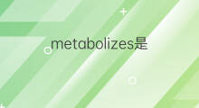 metabolizes是什么意思 metabolizes的中文翻译、读音、例句
