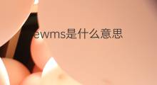 ewms是什么意思 ewms的中文翻译、读音、例句