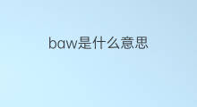 baw是什么意思 baw的中文翻译、读音、例句
