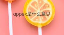 appex是什么意思 appex的中文翻译、读音、例句