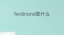 ferdinand是什么意思 ferdinand的中文翻译、读音、例句