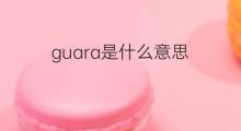 guara是什么意思 guara的中文翻译、读音、例句