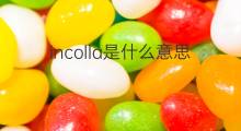 incolla是什么意思 incolla的中文翻译、读音、例句