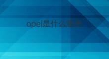 opei是什么意思 opei的中文翻译、读音、例句