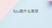 lizu是什么意思 lizu的中文翻译、读音、例句