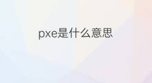 pxe是什么意思 pxe的中文翻译、读音、例句