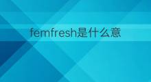 femfresh是什么意思 femfresh的中文翻译、读音、例句