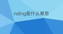 nding是什么意思 nding的中文翻译、读音、例句