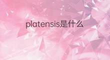 platensis是什么意思 platensis的中文翻译、读音、例句