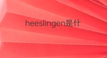 heeslingen是什么意思 heeslingen的中文翻译、读音、例句
