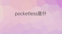 pocketless是什么意思 pocketless的中文翻译、读音、例句