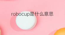 robocup是什么意思 robocup的中文翻译、读音、例句
