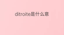 ditroite是什么意思 ditroite的中文翻译、读音、例句