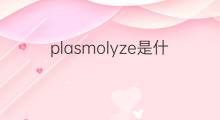 plasmolyze是什么意思 plasmolyze的中文翻译、读音、例句