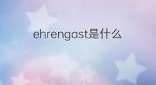 ehrengast是什么意思 ehrengast的中文翻译、读音、例句
