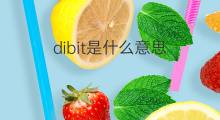 dibit是什么意思 dibit的中文翻译、读音、例句