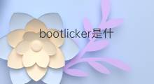 bootlicker是什么意思 bootlicker的中文翻译、读音、例句