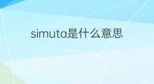 simuta是什么意思 simuta的中文翻译、读音、例句