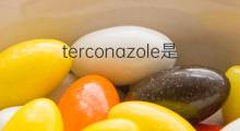 terconazole是什么意思 terconazole的中文翻译、读音、例句