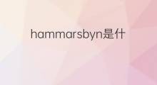 hammarsbyn是什么意思 hammarsbyn的中文翻译、读音、例句