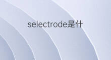 selectrode是什么意思 selectrode的中文翻译、读音、例句
