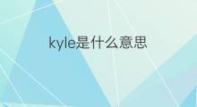 kyle是什么意思 kyle的中文翻译、读音、例句
