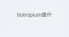 tiotropium是什么意思 tiotropium的中文翻译、读音、例句