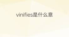 vinifies是什么意思 vinifies的中文翻译、读音、例句