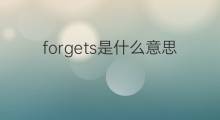 forgets是什么意思 forgets的中文翻译、读音、例句