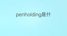 penholding是什么意思 penholding的中文翻译、读音、例句