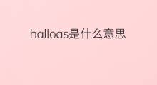 halloas是什么意思 halloas的中文翻译、读音、例句