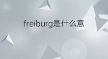 freiburg是什么意思 freiburg的中文翻译、读音、例句