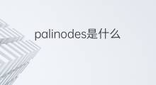 palinodes是什么意思 palinodes的中文翻译、读音、例句