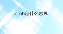prob是什么意思 prob的中文翻译、读音、例句
