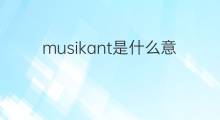 musikant是什么意思 musikant的中文翻译、读音、例句