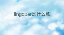 lingauer是什么意思 lingauer的中文翻译、读音、例句