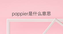 pappier是什么意思 pappier的中文翻译、读音、例句