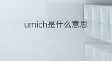 umich是什么意思 umich的中文翻译、读音、例句