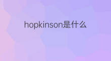 hopkinson是什么意思 hopkinson的中文翻译、读音、例句