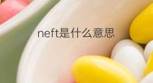 neft是什么意思 neft的中文翻译、读音、例句