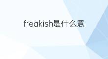 freakish是什么意思 freakish的中文翻译、读音、例句