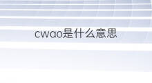 cwao是什么意思 cwao的中文翻译、读音、例句