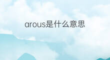 arous是什么意思 arous的中文翻译、读音、例句