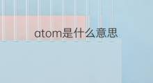 atom是什么意思 atom的中文翻译、读音、例句