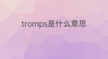 tromps是什么意思 tromps的中文翻译、读音、例句