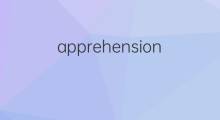 apprehension是什么意思 apprehension的中文翻译、读音、例句