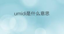 umidi是什么意思 umidi的中文翻译、读音、例句